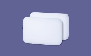 Foam Pillow with Snow Technology Double Pack