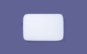 Foam Pillow with Snow Technology