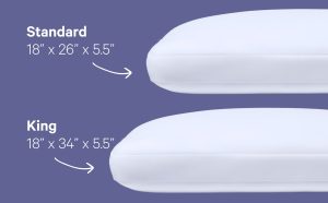 Foam Pillow with Snow Technology Double Pack